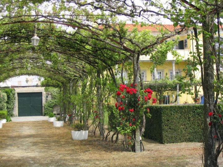 Casa/Apartamento De Hospedes 维亚纳堡 外观 照片